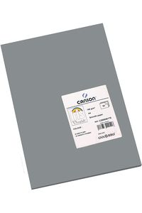 Paq/50 cartulinas a4 plomo iris