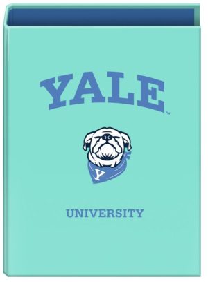 CARPETA Fº 4 ANILLAS 40MM YALE DOG