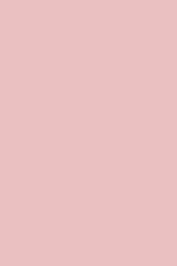Paq 25 cartulinas iris 50x65 cm. color rosa 185 g.