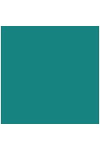 Paq/25 cartulinas iris 50x65 cm. color verde menta 185 g.