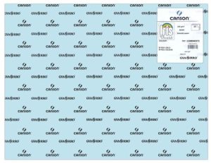Paq 25 cartulinas iris 50x65 cm. color azul cielo 185 g.
