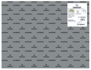 Paq 25 cartulinas iris 50x65 cm. color gris plomo 185 g.