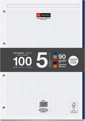 Recambio notebook5 a4 100h 90g cuad.5x5 greca colores intensos