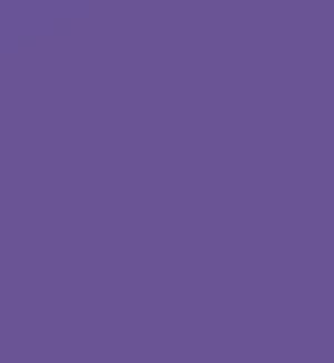 BLISTER 10 LAMINAS GOMA EVA COLOR VIOLETA 20X30CM FAIBO
