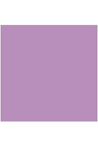 Paq/25 cartulinas iris 50x65 cm. color malva 185 g.