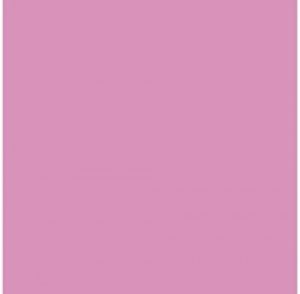 Paq/25 cartulinas iris 50x65 cm. color rosa chicle 185 g.