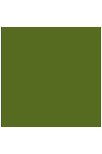 Paq/25 cartulinas iris 50x65 cm. color verde safari 185 g.