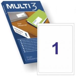 C/100 HOJAS ETIQUETAS FT/IM 199.6X289.1 MULTI3