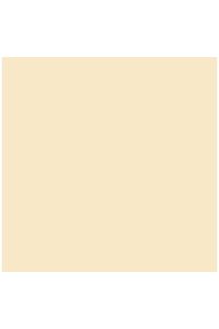Paq/25 cartulinas iris 50x65 cm. color carne 185 g.