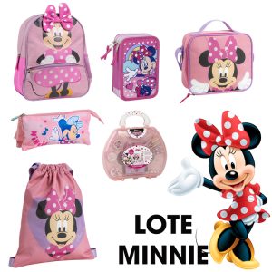 LOTE MINNIE SURTIDO