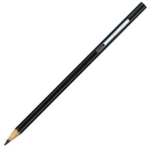 C/12 LAPICES COLORES GIOTTO STILNOVO NEGRO