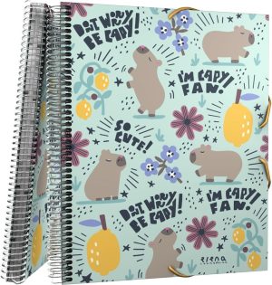 CARPETA FUNDAS CARPETA FUNDAS MAXIPLAS PP 30F EC CHEERFUL 25,5x31x1,6cm