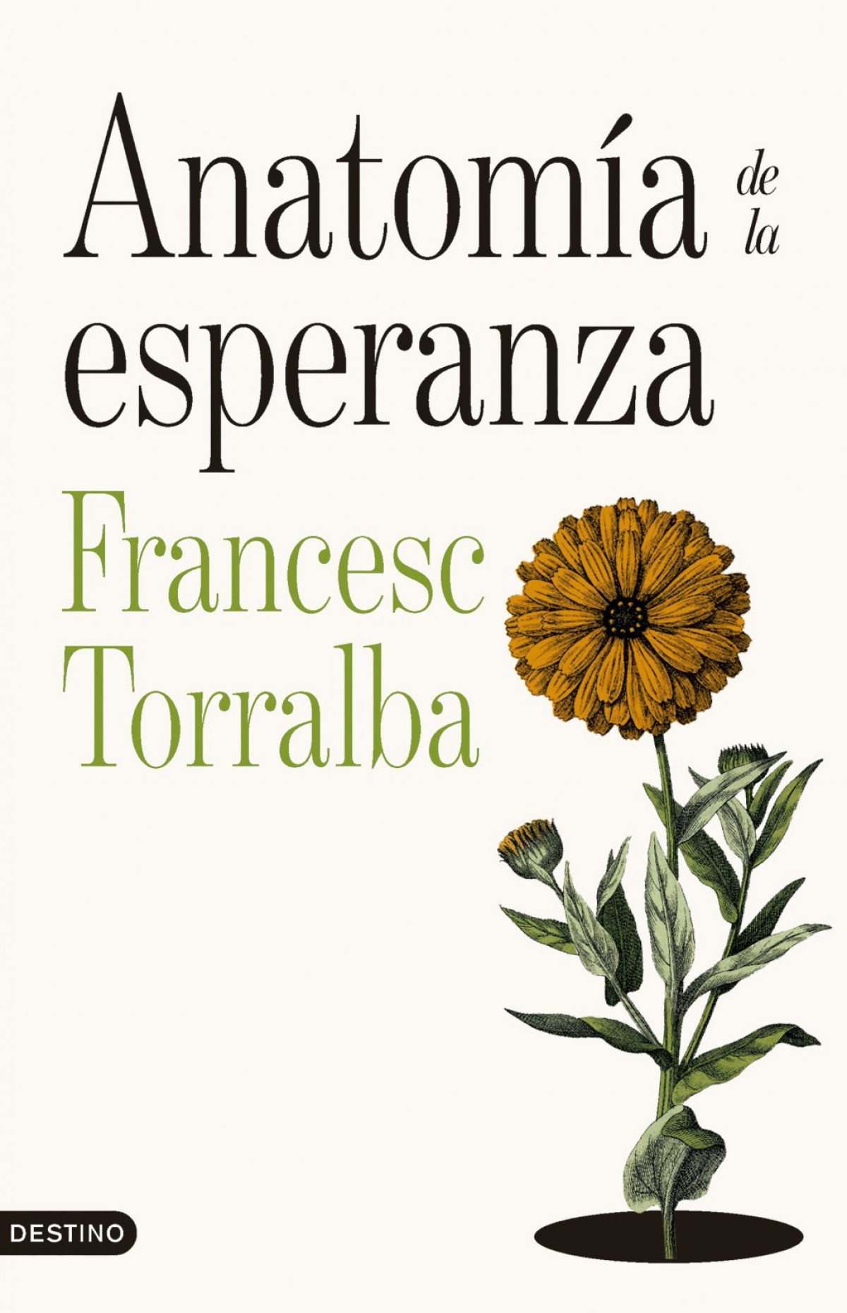 Anatomía de la esperanza