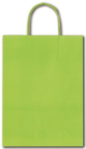 PAQ/25 BOLSAS KRAFT ALLEGRA COLOR VERDE LIMA 26X12X36CM