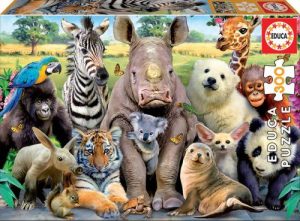 Foto de clase Puzzle 300